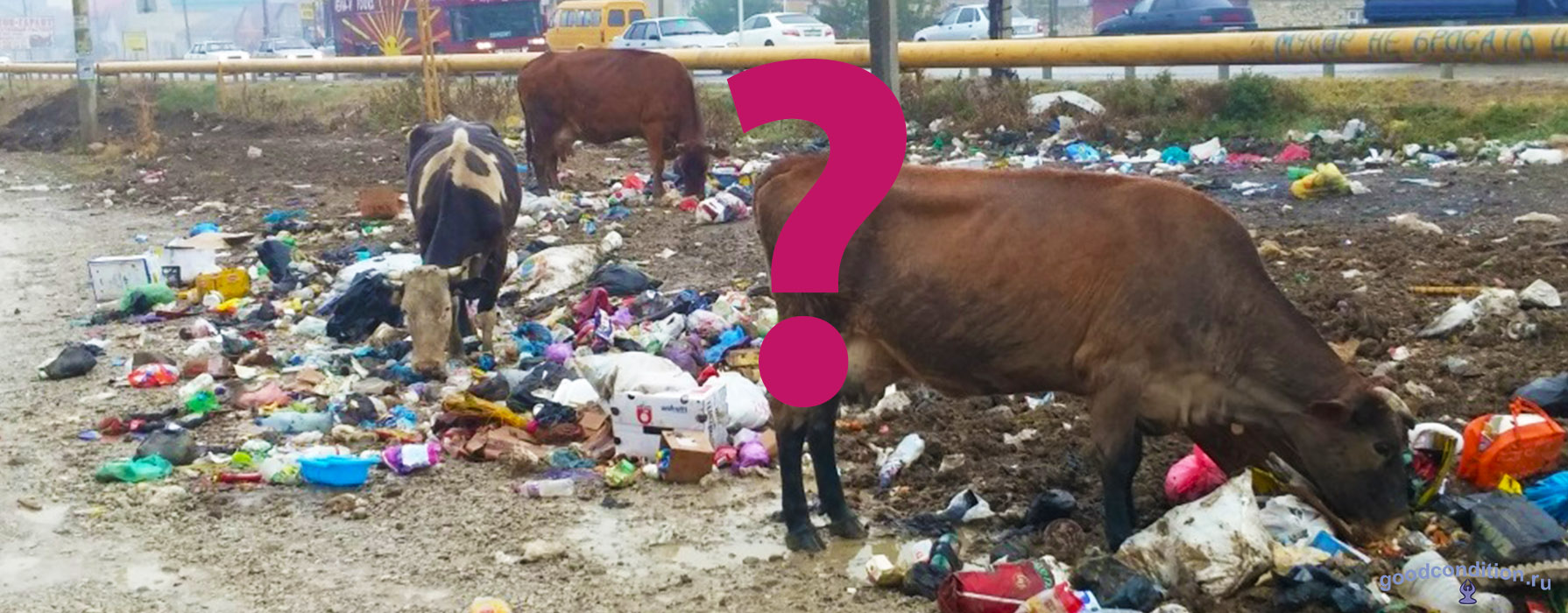 Грязно ли в Дагестане?