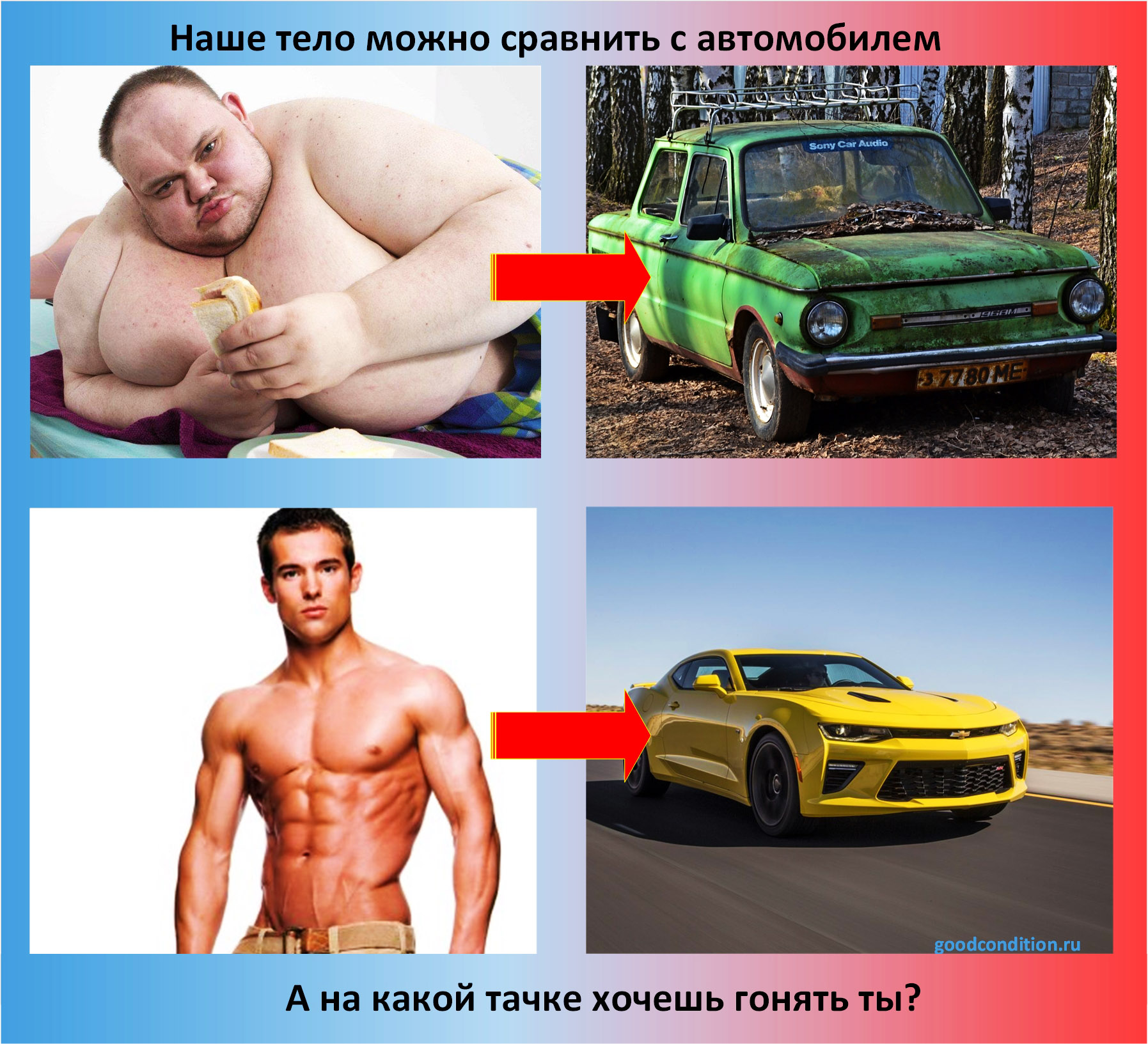 Наше тело можно сравнить с автомобилем